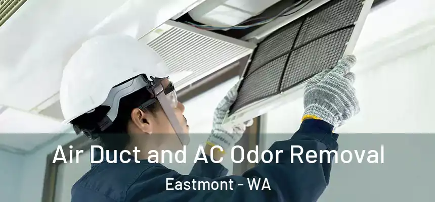  Air Duct and AC Odor Removal Eastmont - WA