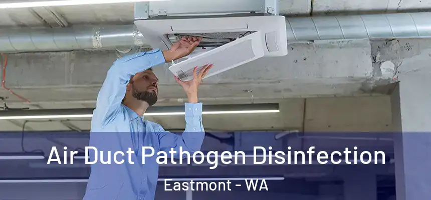 Air Duct Pathogen Disinfection Eastmont - WA