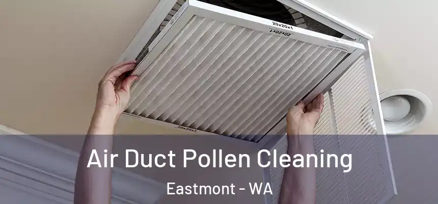  Air Duct Pollen Cleaning Eastmont - WA