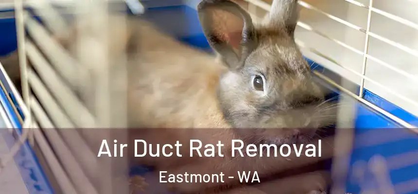  Air Duct Rat Removal Eastmont - WA