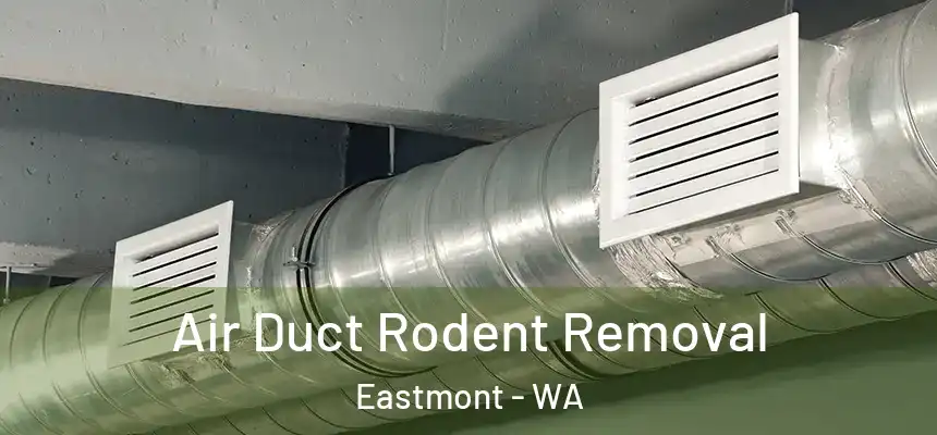  Air Duct Rodent Removal Eastmont - WA