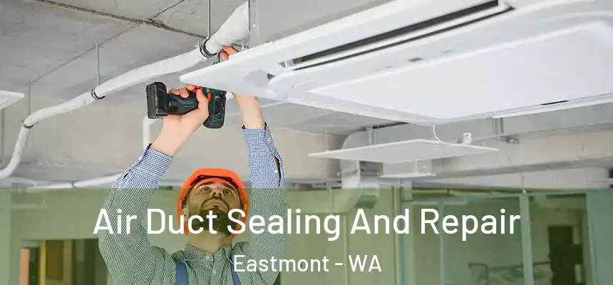  Air Duct Sealing And Repair Eastmont - WA