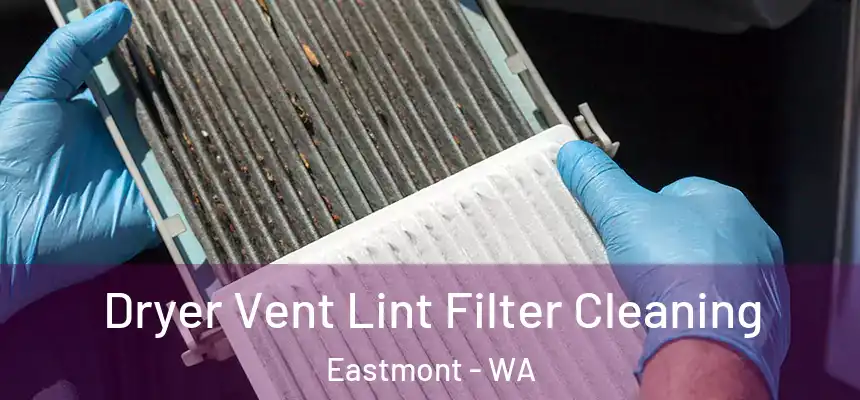  Dryer Vent Lint Filter Cleaning Eastmont - WA