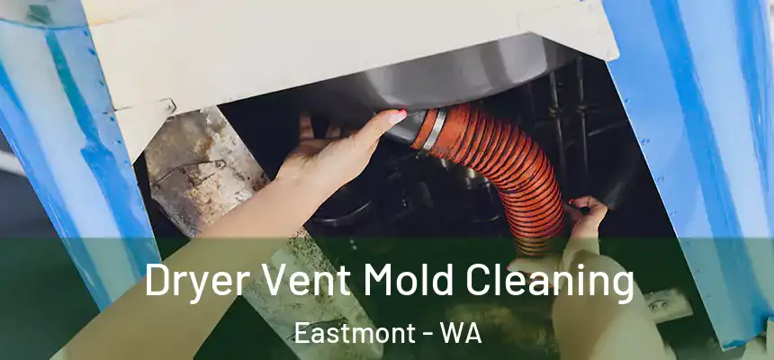 Dryer Vent Mold Cleaning Eastmont - WA