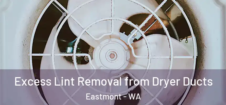 Excess Lint Removal from Dryer Ducts Eastmont - WA