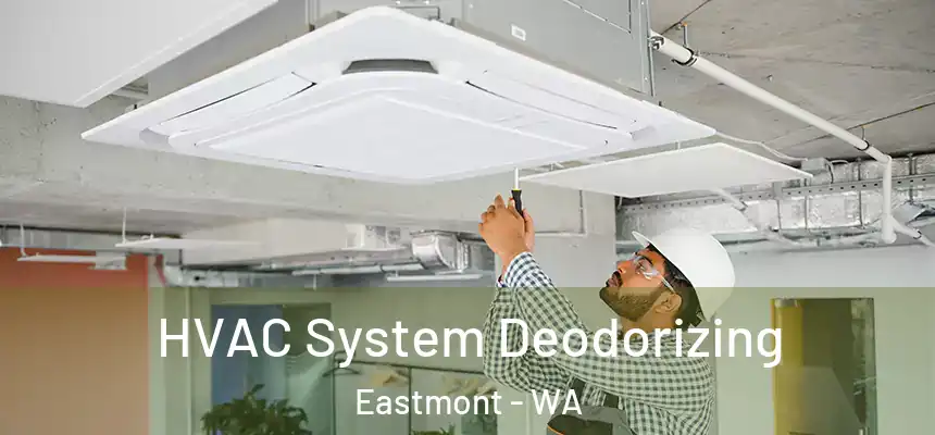 HVAC System Deodorizing Eastmont - WA