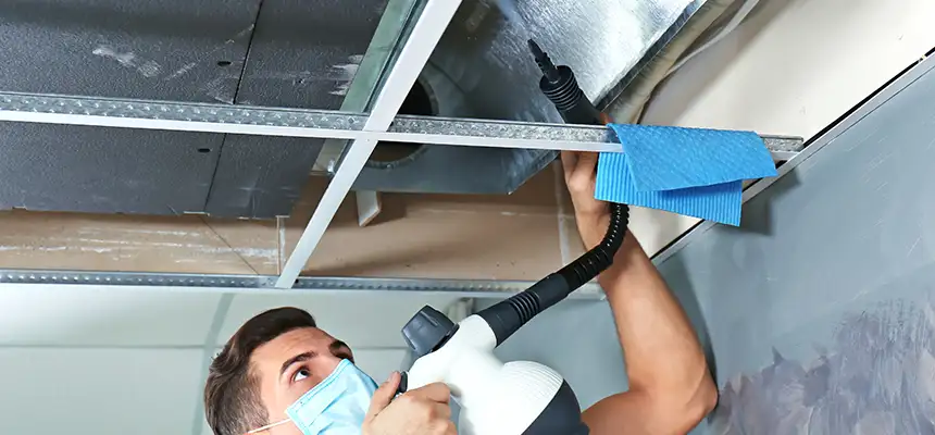 Our Air Duct Rodent Removal Services in Eastmont, WA