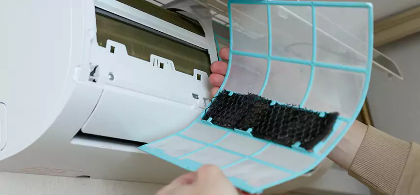 Gentle Ductwork Odor-Control Pet Dander Duct Cleaning in Eastmont, WA