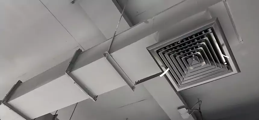 Our Rodent Droppings In Vents Services in Eastmont, WA