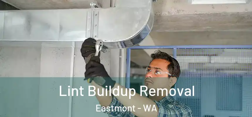 Lint Buildup Removal Eastmont - WA
