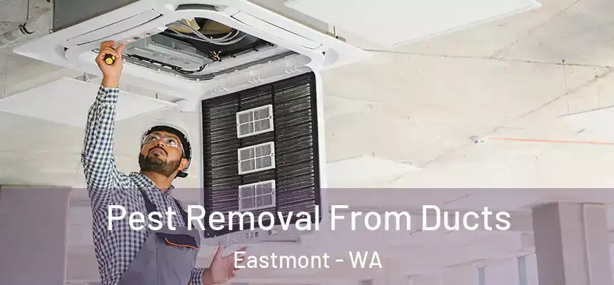  Pest Removal From Ducts Eastmont - WA