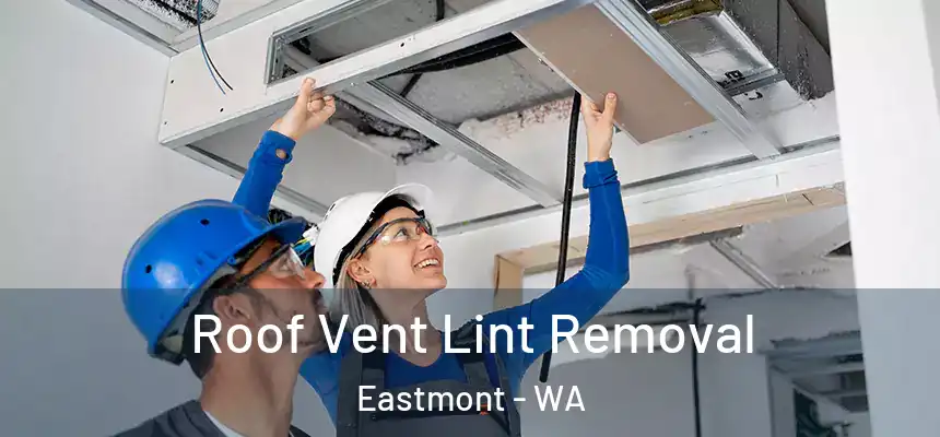  Roof Vent Lint Removal Eastmont - WA