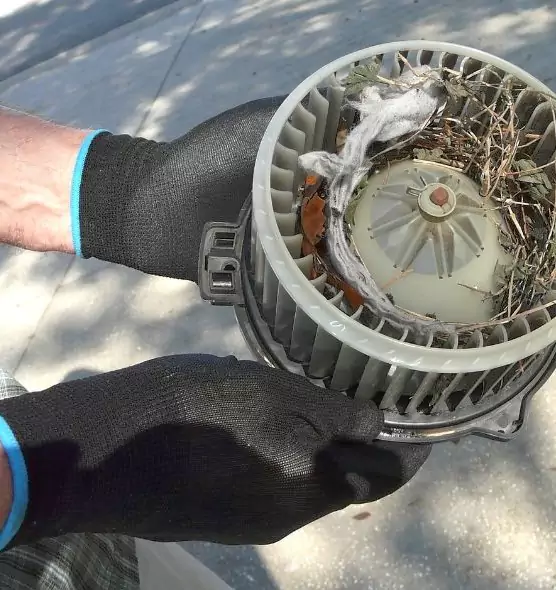 About Air Duct Rat Removal in Eastmont, WA