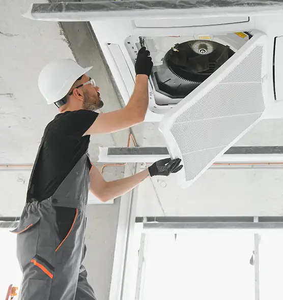 About Air Duct Rodent Removal in Eastmont, WA