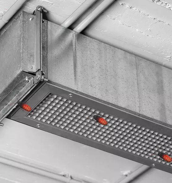 Affordable Insect Removal from Air Ducts in Eastmont, WA