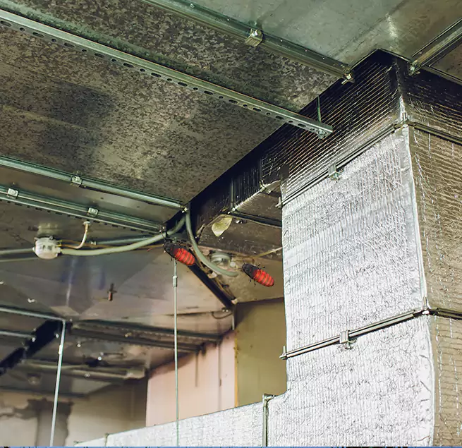 Why Homeowners & Businesses Trust Us in Eastmont, WA?