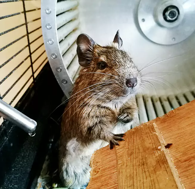 Why Homeowners & Businesses Trust Us Eastmont, WA