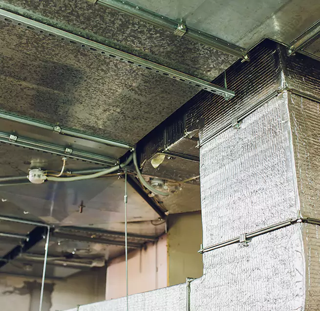 Why Homeowners & Businesses Trust Us in Eastmont, WA?