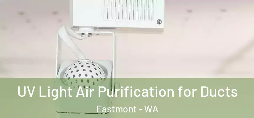  UV Light Air Purification for Ducts Eastmont - WA